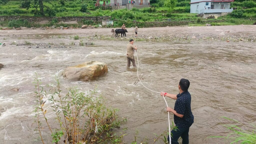 गोवंश का जीवन बचाने उफनाई नदी में कूदे एएसआई