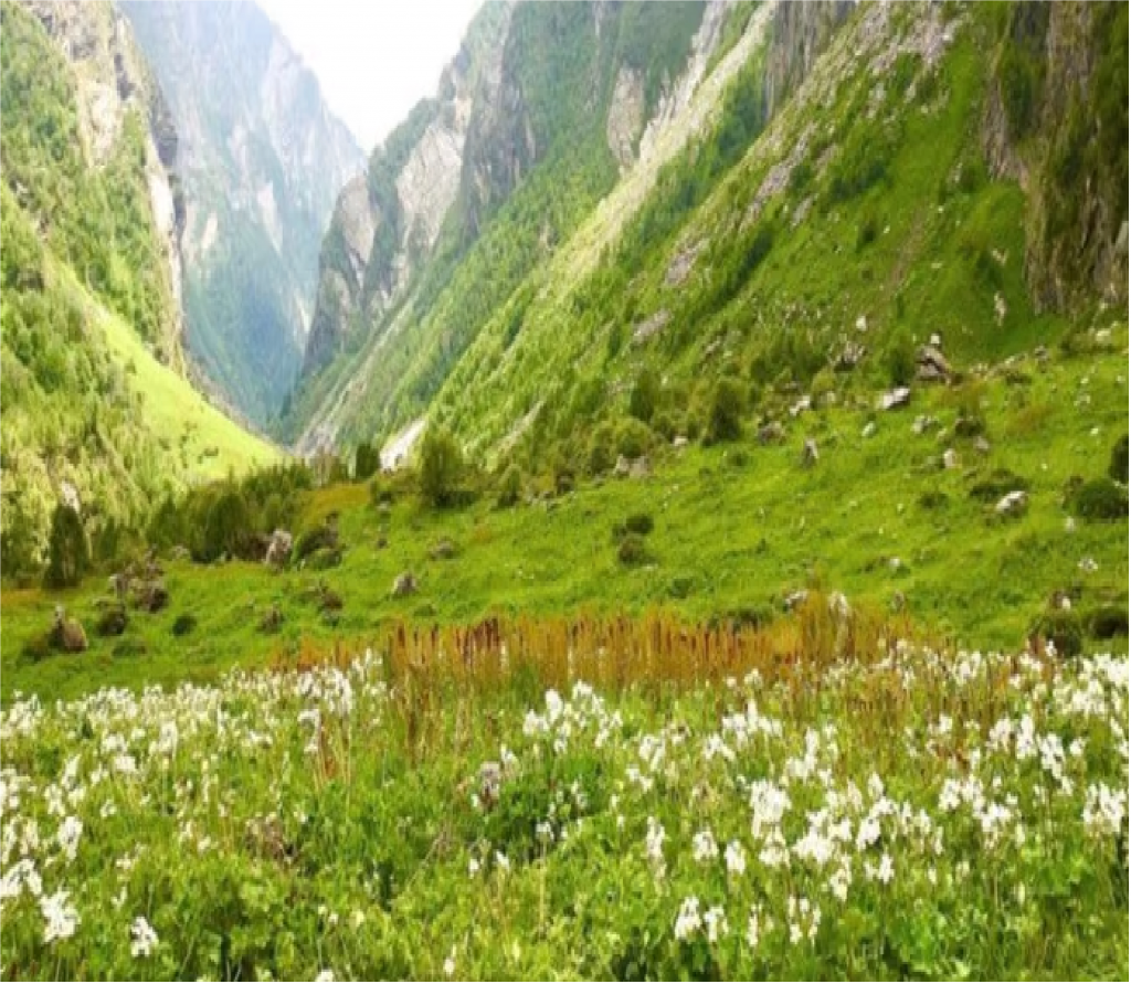 फूलों की घाटी: हिमखंडों को काटकर बनाया जा रहा रास्ता, एक जून से आ सकेंगे पर्यटक 