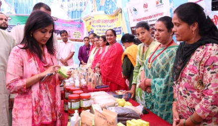 तहसील दिवस पर लगाए गए विभागीय स्टॉल, 122 लाभान्वित