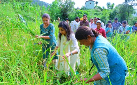 जिलाधिकारी ने की धान की कटाई, ग्रामीणों संग मंडाई में भी हुई शामिल