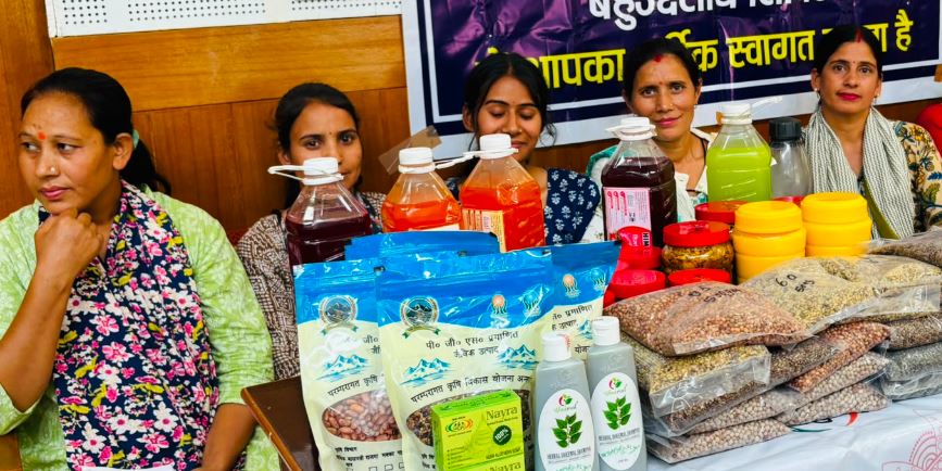 पाबौ जनसेवा शिविर में 287 आवेदन प्राप्त, 272 का मौके पर हुआ निस्तारण